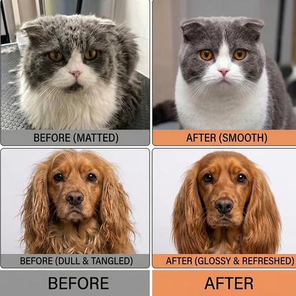 4-in-1 Electric Mist Spray Pet Grooming & Deshedding Brush